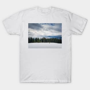 Fir forest on the snowy hills T-Shirt